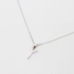 CADENA INICIAL PALI "Y"