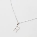 CADENA INICIAL PALI "R"