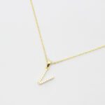 CADENA INICIAL PALI "V"