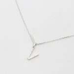 CADENA INICIAL PALI "V"