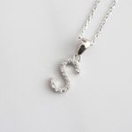 CADENA INICIAL PALI "S"