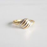 ANILLO VÉRTICE RAINA