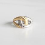 ANILLO VÉRTICE RAIZA